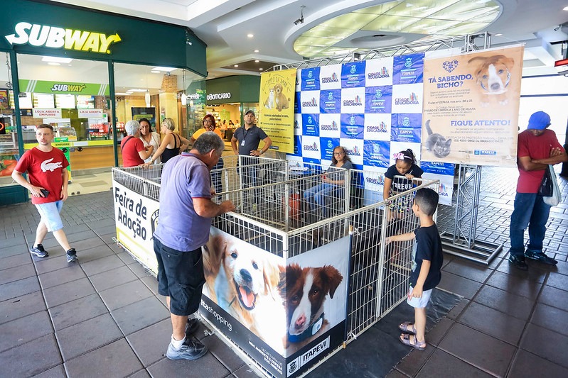 Feira de Adoção de Pets de Itapevi acontece neste sábado (17) no Ita Shopping Centro